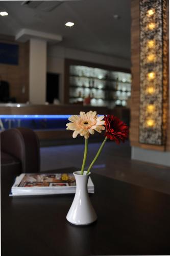 Hotel Atlas Halle - image 11