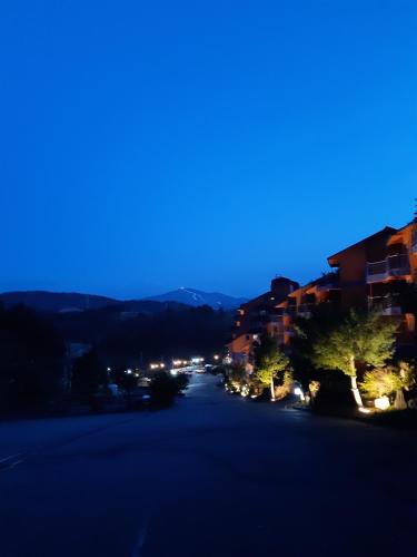 Hyundai Elliot Hotel and Resortトリプルルーム　テラス付