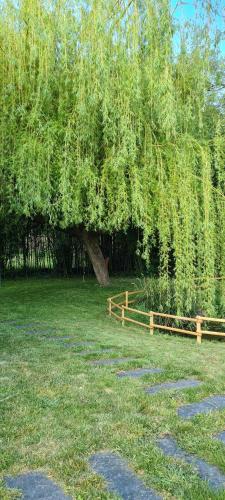 Gîte 5 chambres "La Source" à 10 min du Puy du Fou gîte à louer Les Herbiers
