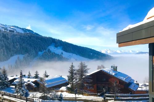 Penthouse l'Ourse Bleue - Sauna privatif - accès direct aux pistes Courchevel 1850