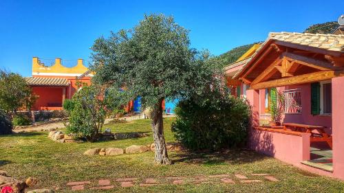 Sole e Sale in Sardegna 3