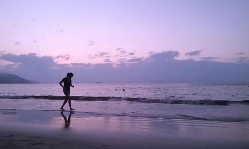 Cat - Can ho cao cap TMS Quy Nhon - Ocean View