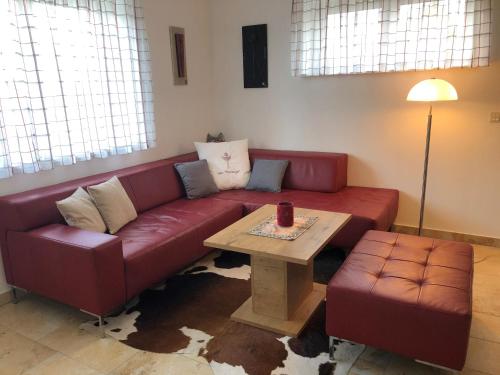 Haus Weinengel - Apartment - Schönbühel an der Donau