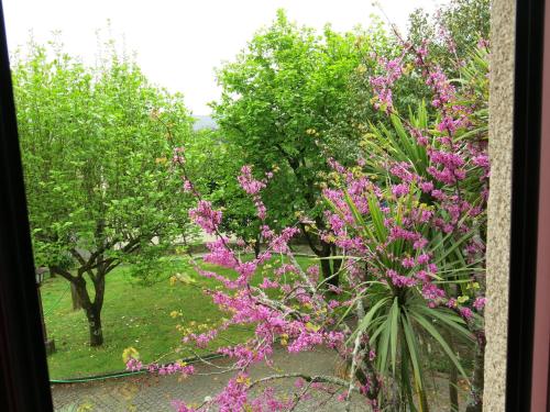 Casa Dos Tinocos Casa Dos Tinocos