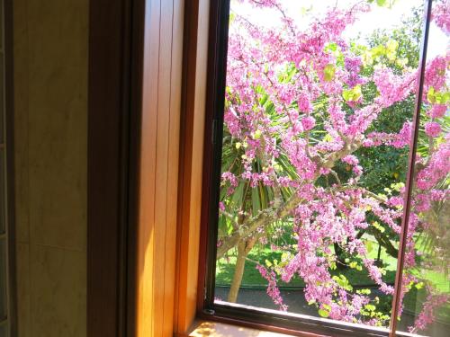 Casa Dos Tinocos Casa Dos Tinocos