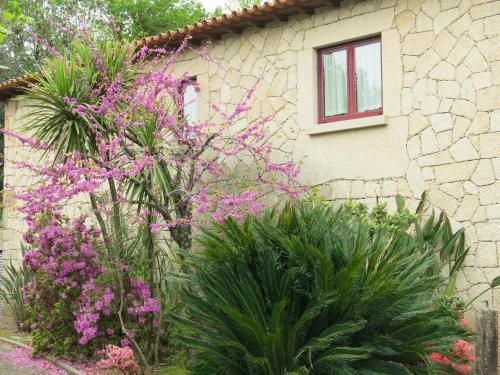 Casa Dos Tinocos Casa Dos Tinocos