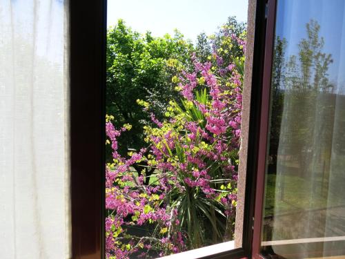 Casa Dos Tinocos Casa Dos Tinocos