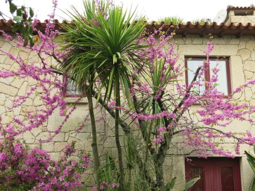 Casa Dos Tinocos Casa Dos Tinocos