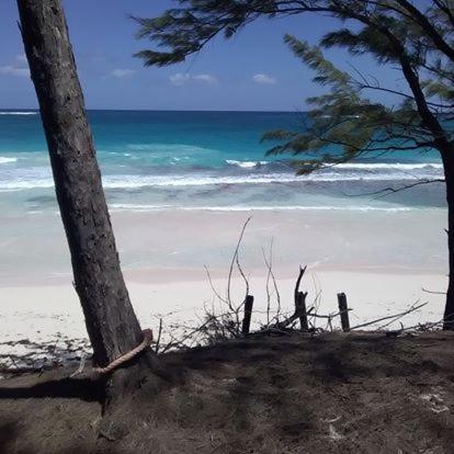 Bahamas Pink N White Castel beach Getaway