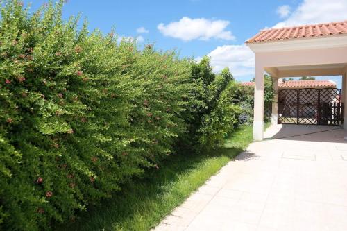 Spacious house in Aldeia dos Pinheiros with pool