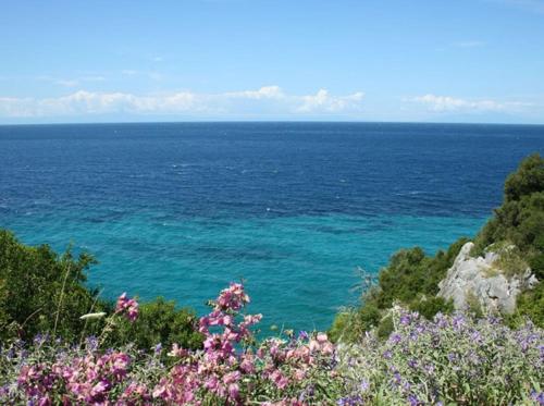 Gerakina Skala Holiday Houses – Gerakini, MO