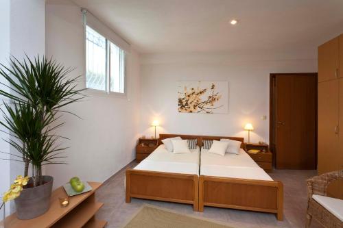 Gerakina Skala Holiday Houses – Gerakini, MO