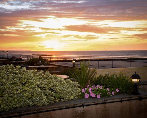 The Beaches Hotel - image 12