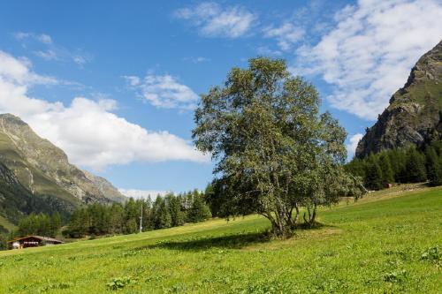 Pension Mittagskogel