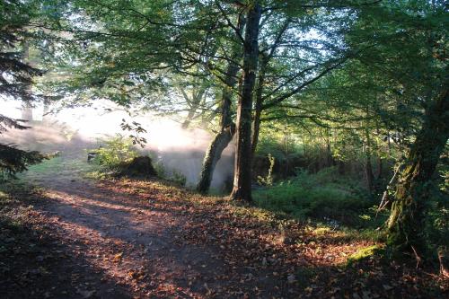 Le Tronçais - image 3