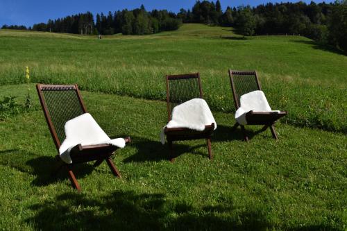 Jardín, Ferienwohnung Brittenberg Alpaka in Schwarzenberg