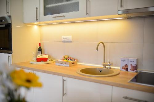 Apartman Zlatiborski Dar - image 4