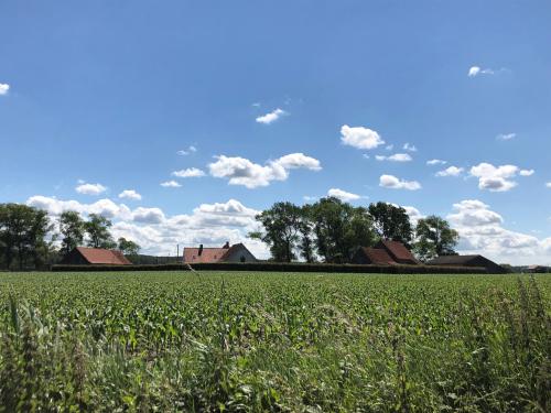BBruT, Brugia (zdjęcie 3)