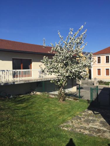 Maison entière au pied du plateau du retord 2 chambres SDB - Vouvray - Location saisonnière - Valserhône