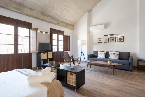 Santiago Premium Loft III, Málaga (fotografie 8)