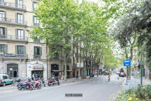 Alcam Pau Claris - image 5