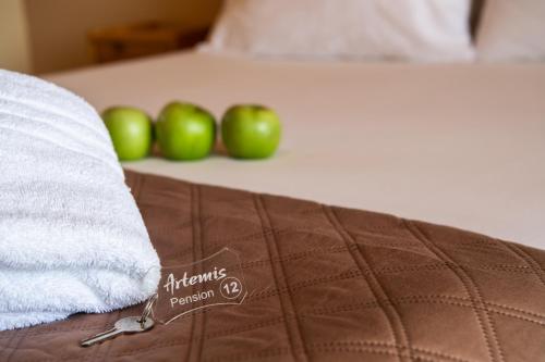 Artemis Pension – Ligia, GA