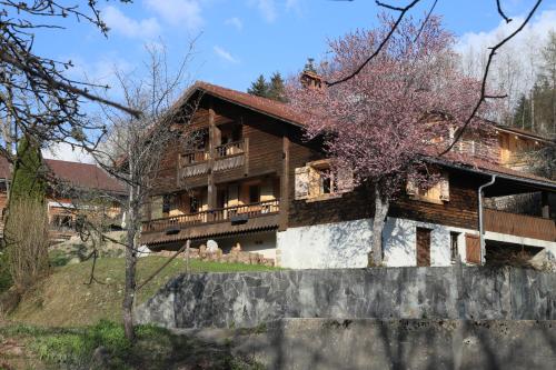 Sous les Ecotagnes - Chalet - Les Villards-sur-Thônes