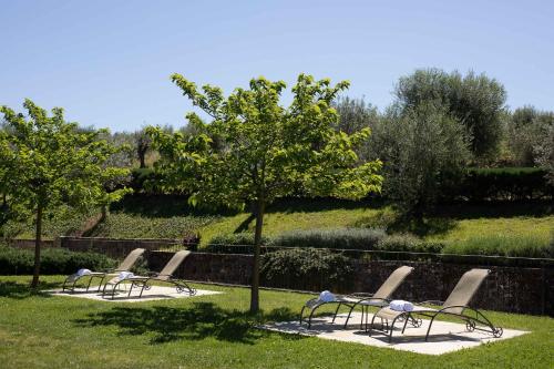 Tenuta Torre Rossa Farm & Apartments - image 5