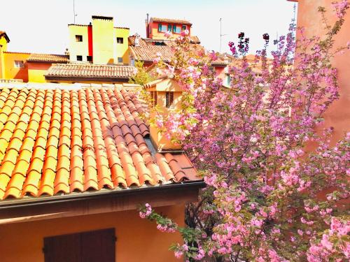 Falcone 22 - image 5