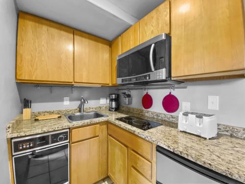 Tyra Aspen 9B condo - image 3