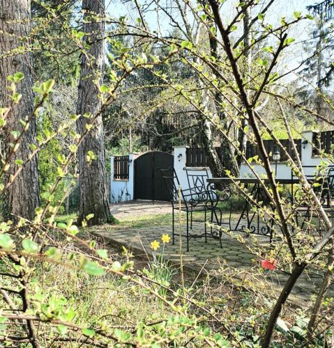 Apartman Popovica extra