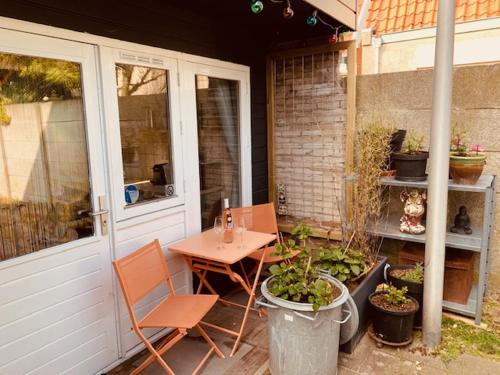 King almost by the sea in Zandvoort