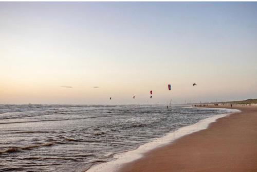 King almost by the sea in Zandvoort