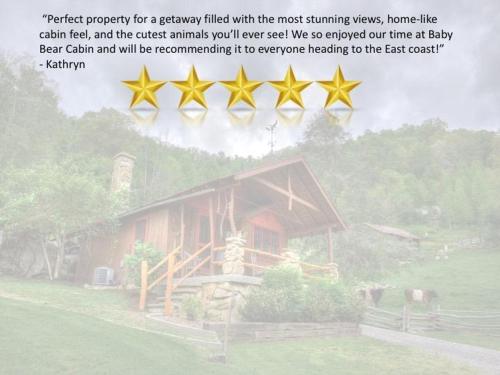 Baby Bear Cabin at Three Bear Holler