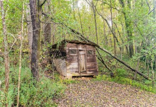 Apple Valley Cabin - image 2