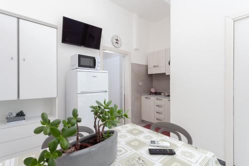  Nicola House Il Fenicottero in Cervia