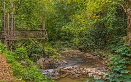 Rushing Waters Retreat - image 6