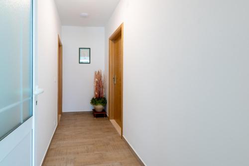 Apartmani IVA - image 2