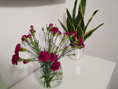 Apartament w centrum 3 Apartament w centrum 3