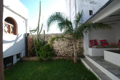 Studio with Garden View