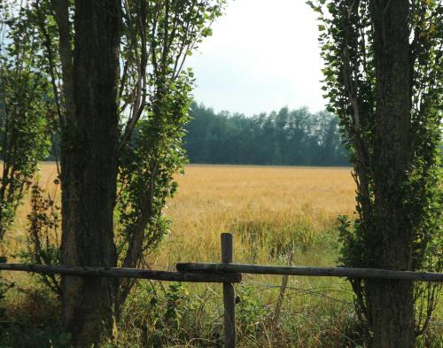 Pipowagen Jasmijn bij Pipowagen en kampeerhoeve s Gravenhof