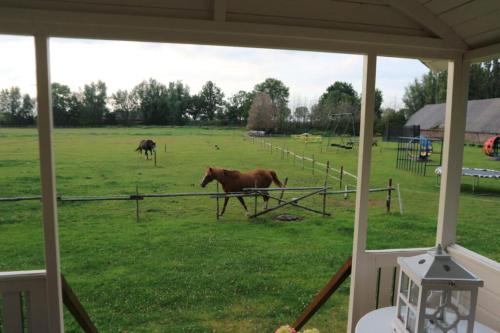 Pipowagen Jasmijn bij Pipowagen en kampeerhoeve s Gravenhof