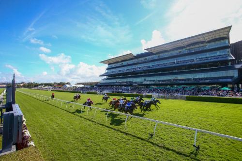 Perouse Randwick by Sydney Lodges - image 14