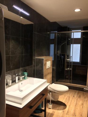 Junior Suite Apartment by Livingdowntown, Zürich (photo 5)