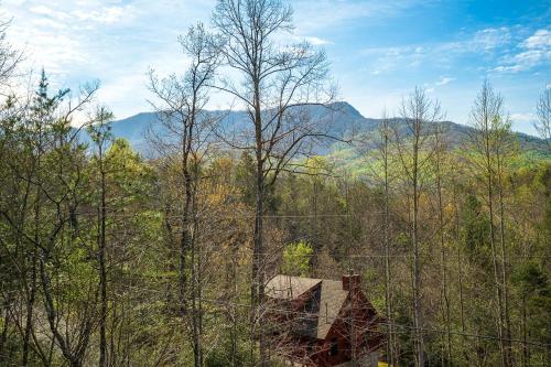 Trail Head - image 8