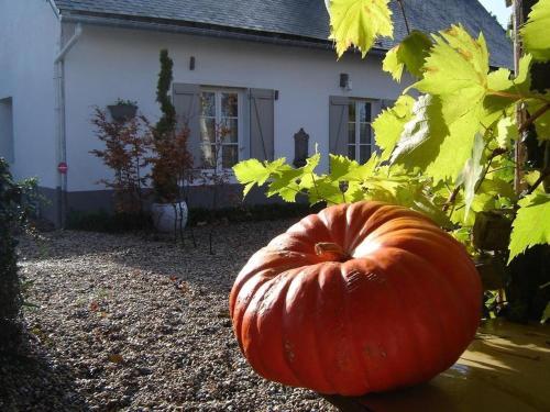 Gite Cottage d'Hamicourt aux Portes de la Baie de Somme