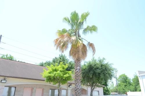 Facilities, Texan Inn & Suites in Houston (TX)