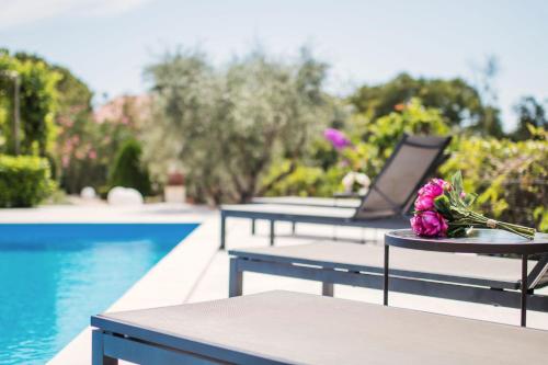 Luxury private villa Marina Portapisana - image 12