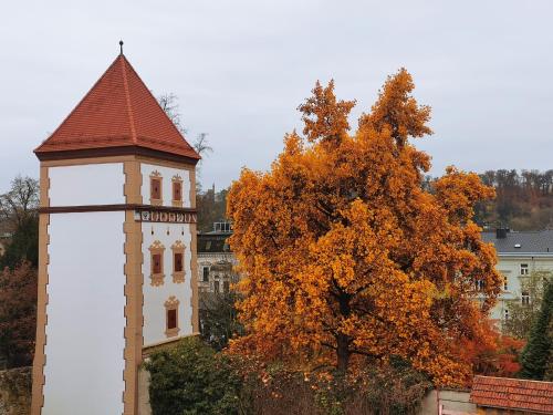 Amedia Plaza Hotel Kremsmünstererhof - image 3