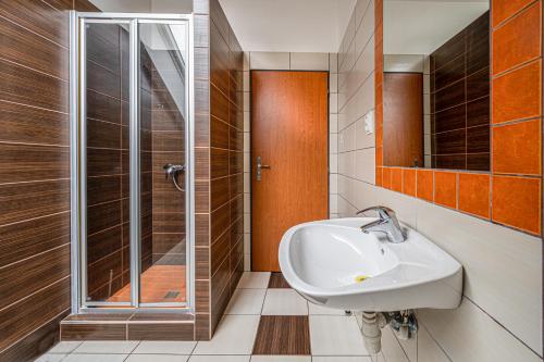 Inter Hostel Liberec - image 5